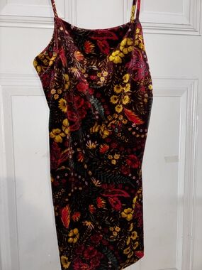 Forever 21 Burgundy Floral Velvet Slip Dress with Mustard & Red Accents